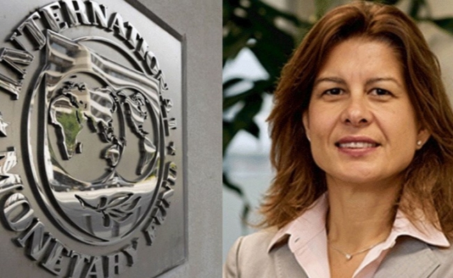 Hürriyet, IMF'teki Türk ekonomistle konuştu, Türkiye ekonomisine dair tek soru sormadı