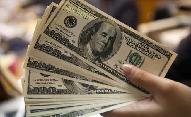 Ekonomi Bakanı'ndan kritik dolar açıklaması!
