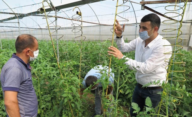 Sera çiftçilerine müjdeli haber Kahramanmaraş'tan geldi