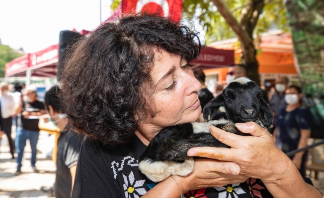 Yem fiyatları artarken süt fiyatları yerinde sayıyor