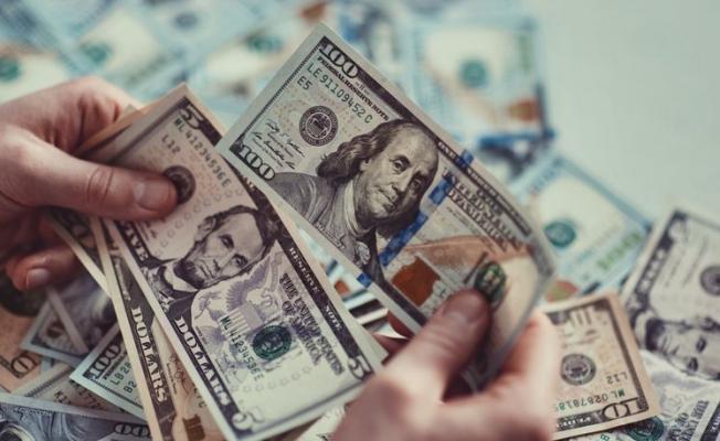 Dolar rekor tazeledi