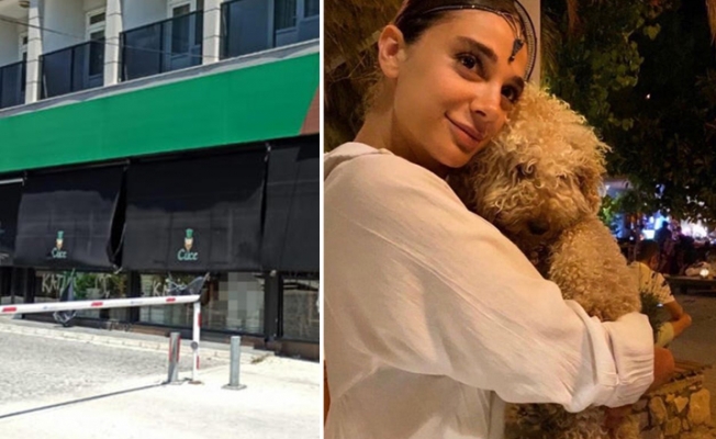 Pınar Gültekin'in katiline ağırlaştırılmış müebbet istemi!