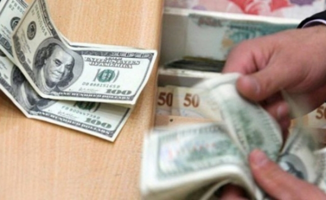 İktidarı "ölümüne" destekleyenlerin parası dolarda mı?