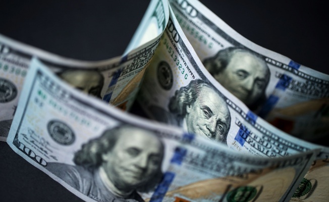 Ünlü ekonomistten dolar yorumu: Neden düşsün ki?