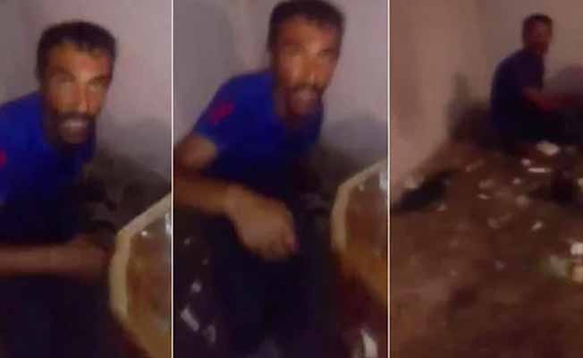 Kedilere işkence edip öldüren caniye ödül gibi ceza