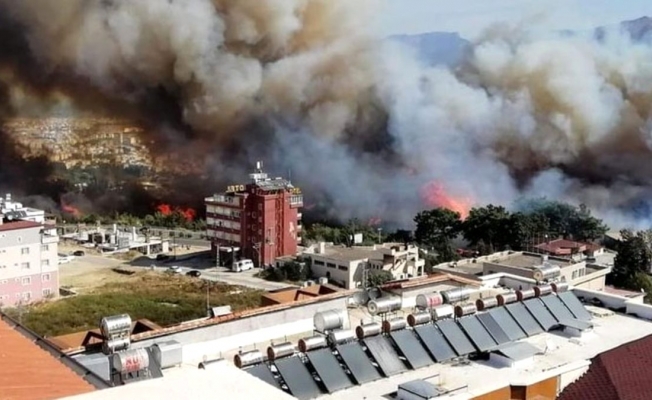 Hatay İskenderun'da orman yangını!