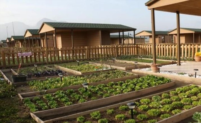 Torba yasayla 'Hobi bahçelerine' hapis cezası geliyor