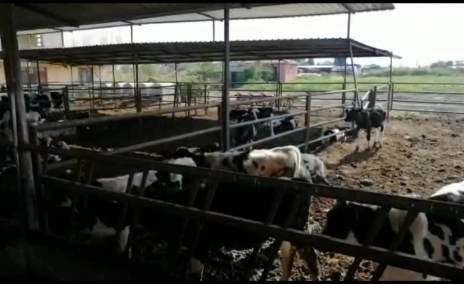 "Enflasyonu bahane ettiler. Çiftçimizi ezdiler"