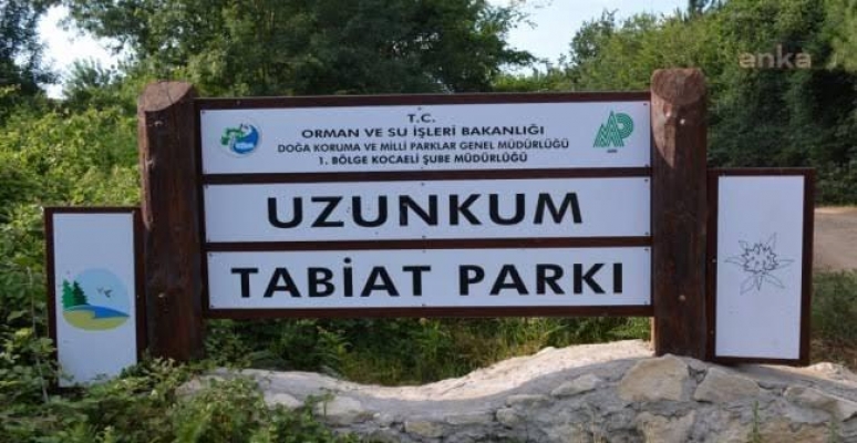 Bir doğa parkını daha yok ettiler