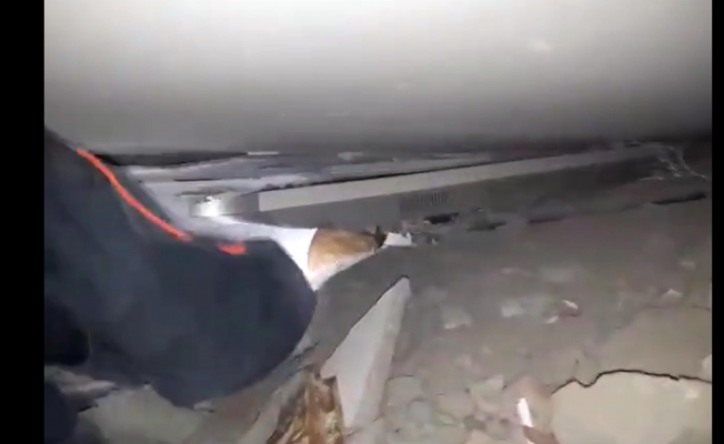 Enkaz altında kalan kedi kurtarıldı