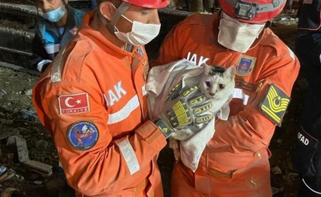 76. saatte minik kedi kurtarıldı