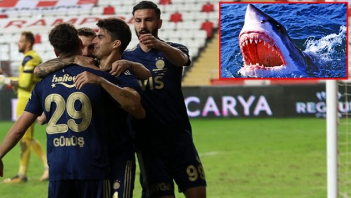 Tuncay Şanlı: Jaws gibiydiler
