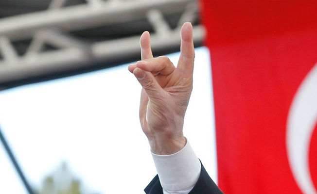 Fransa'nın kararı tepki çekmişti! Dışişleri'nden Bozkurtlar hareketi açıklaması