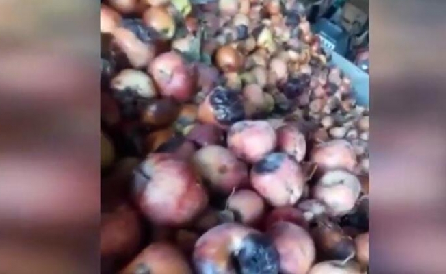 Bakanlık hemen harekete geçti