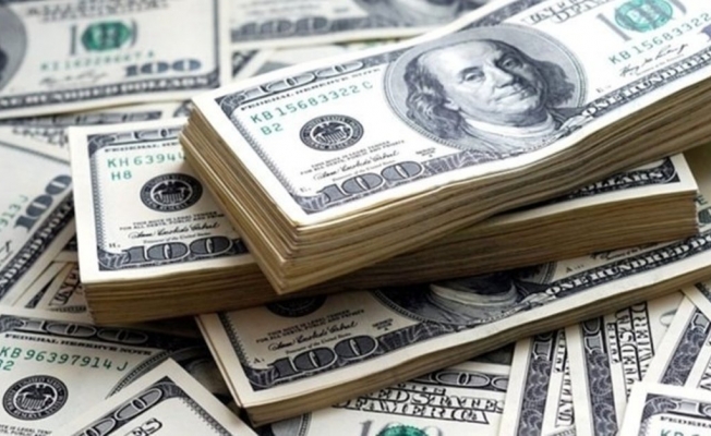 Merkez Bankası: Yıl sonunu dolar kaçla kapatacak?