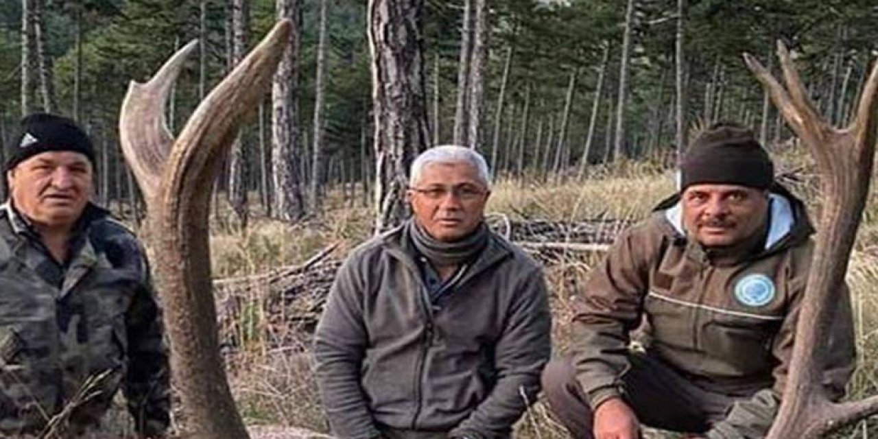 "MHP’li eski belediye başkanı" nesli tükenmekte olan geyiği vurdu!