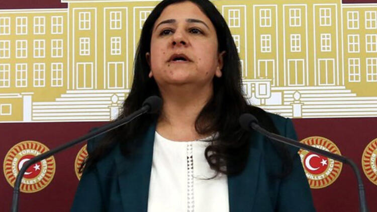 HDP’li eski vekil Çağlar Demirel açlık grevine başladı