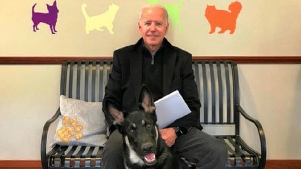 Joe Biden, köpeğiyle oynarken düşerek bileğini çatlattı