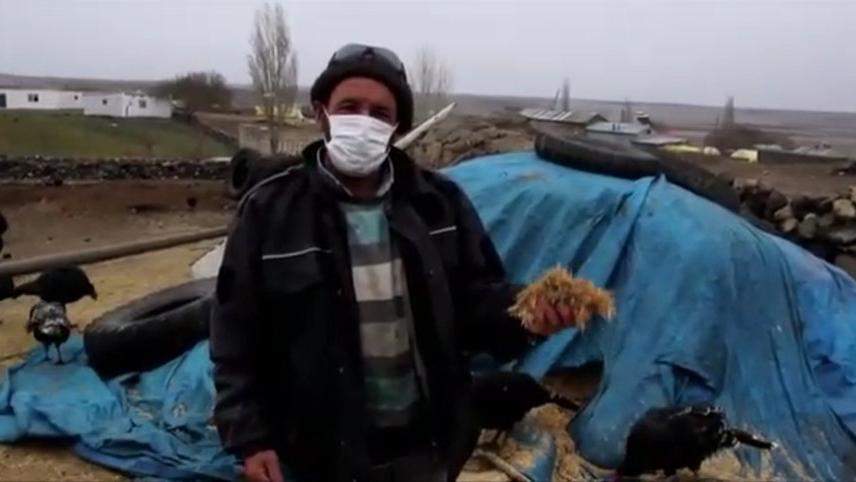 Çiftçiye huzur yok: Önce traktör sonra da inekler gitti