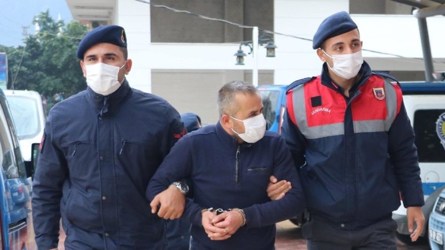 260 bin liralık avokadoyu çaldı