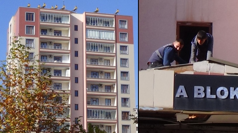 Koronavirüsü yenen kadın intihar etti