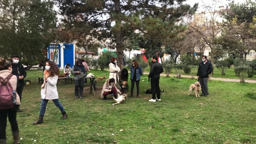 Köpek ölümlerinde yeni gelişme! Tüm çalışanlar açığa alındı