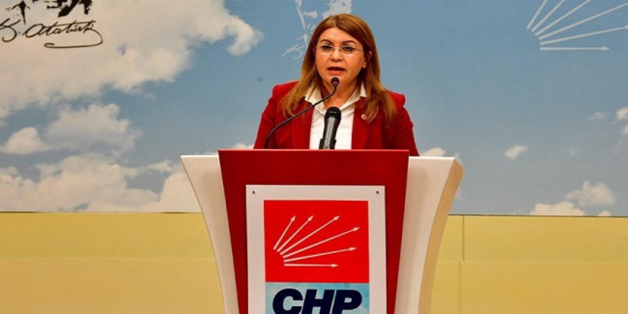 CHP'li Gülizar Biçer Karaca, AKP'li Şahin Tin'e seslendi: Özür dilemeli!