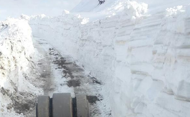 Hakkari'de kar mücadelesi devam ediyor