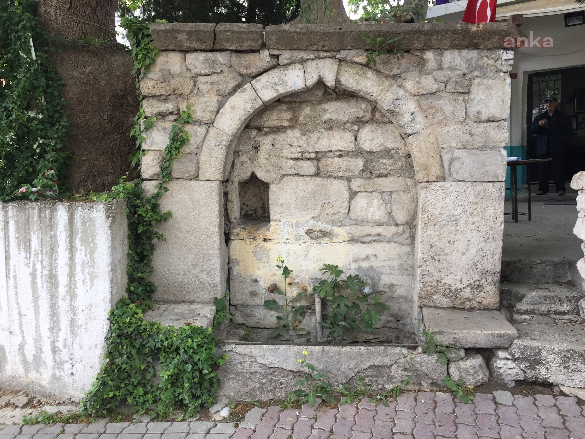 Osmanlı dönemine ait çeşme ve ağaç restore ediliyor