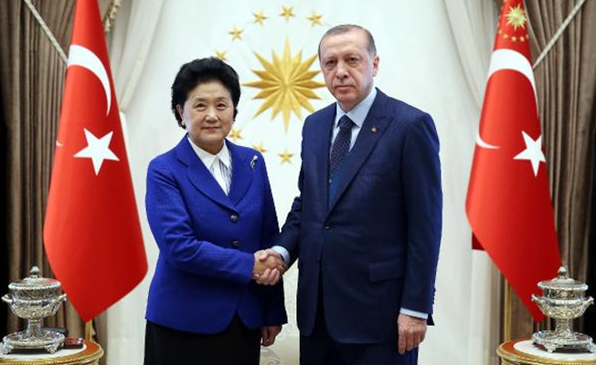 Erdoğan Yangog'u kabul etti