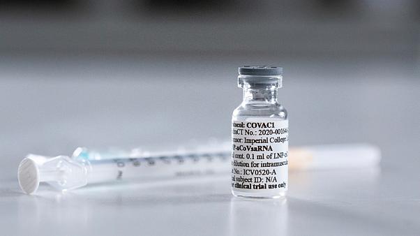 Dünya Müslüman Alimler Birliği'nden koronavirüs aşısı fetvası verdi