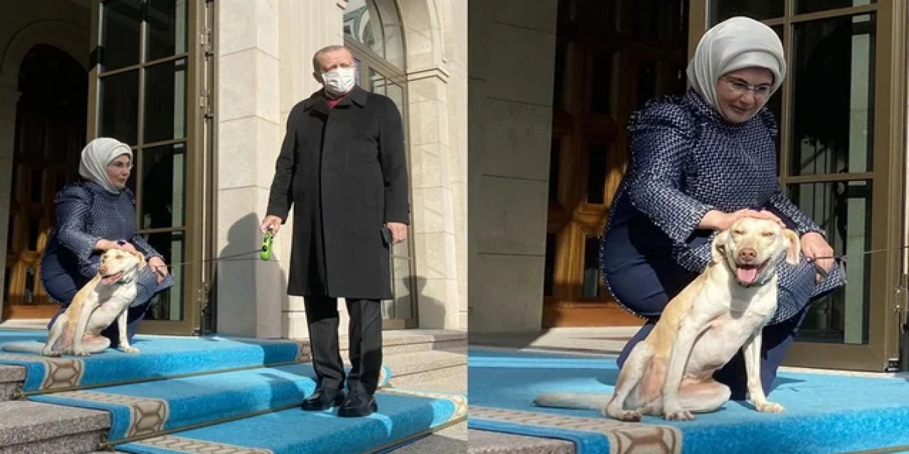 Emine Erdoğan'ın paylaşımı gündem oldu: Cumhurbaşkanımızı Leblebi ile uğurladık