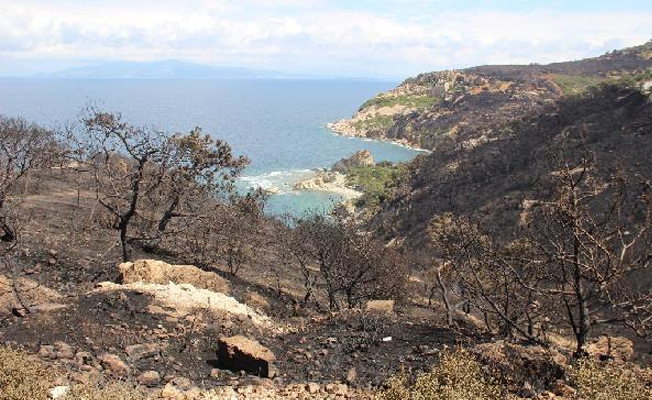 Turistik bölgede 80 hektar orman kül oldu