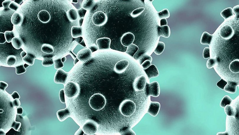 Ebola salgınını keşfeden uzman uyardı: Gelecekteki pandemiler Covid-19'dan daha kötü olacak