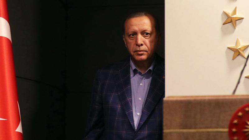 Erdoğan'ın ziyaretlerinin perde arkası ortaya çıktı