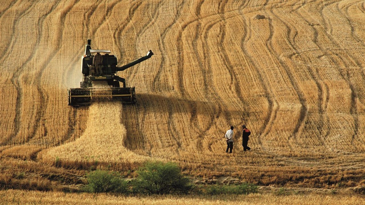 İktidar, tarım üreticisinin halini görmezden geliyor