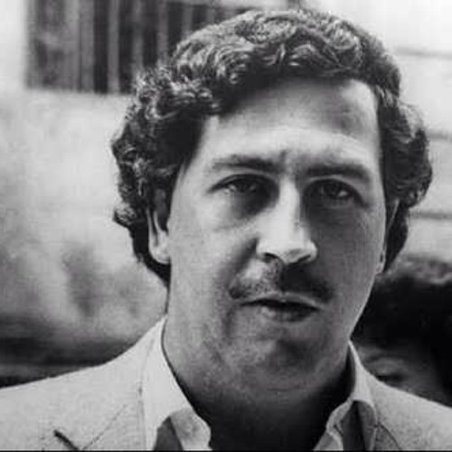 Escobar öldürüldü, sıra “yasa dışı" su aygırlarında!
