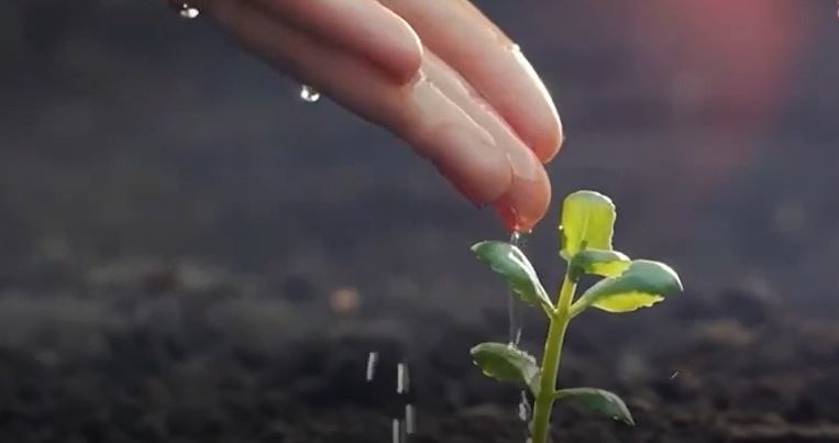 Saadet Partisi'nden yeni video: "Bir damla tasarruf"