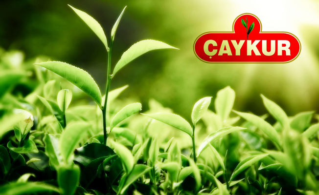 Çaykur Katarlılara mı satıldı?