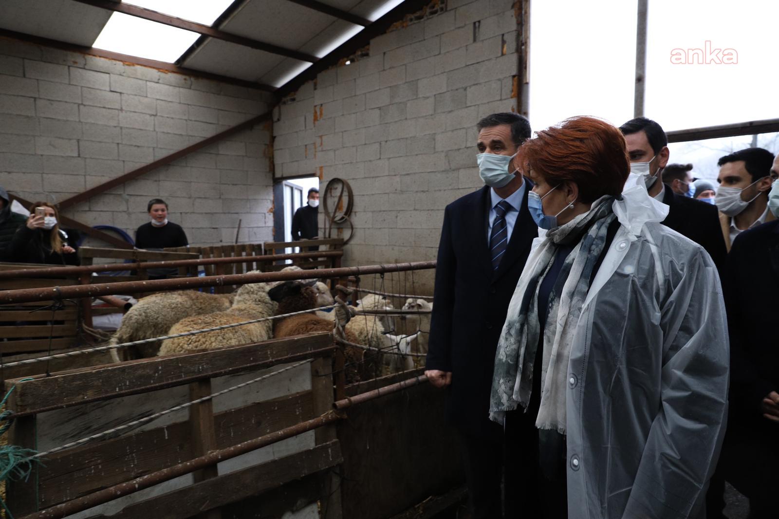 Çiftçiler Akşener’e dert yandı