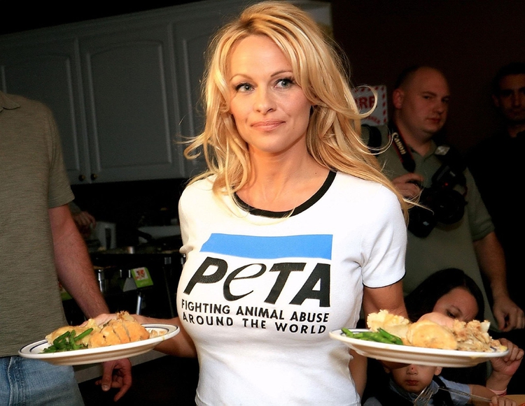 Pamela Anderson sosyal medyayı bıraktı