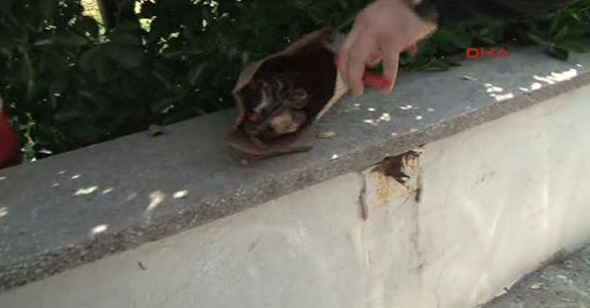 Hastanede bomba paniği!