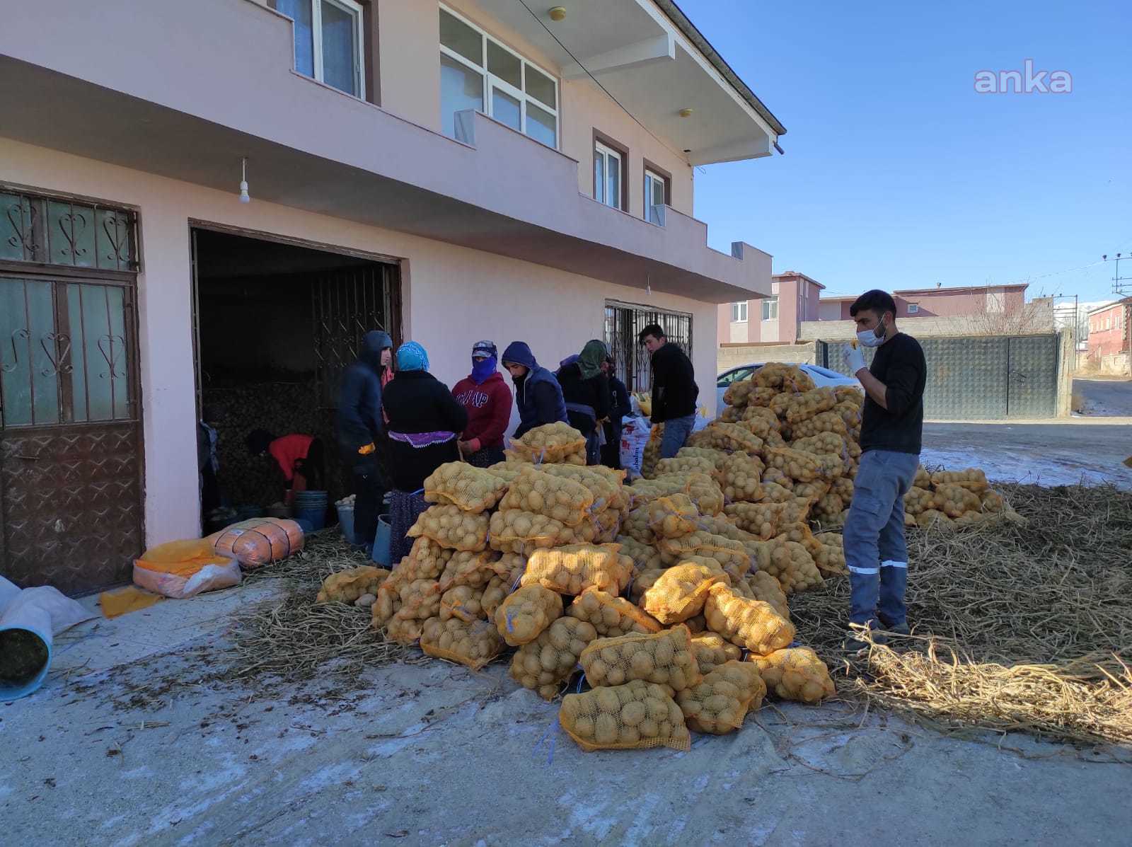 Esenyurt Belediyesi, çiftçinin elinde kalan patatesleri aldı; ihtiyaç sahiplerine dağıttı