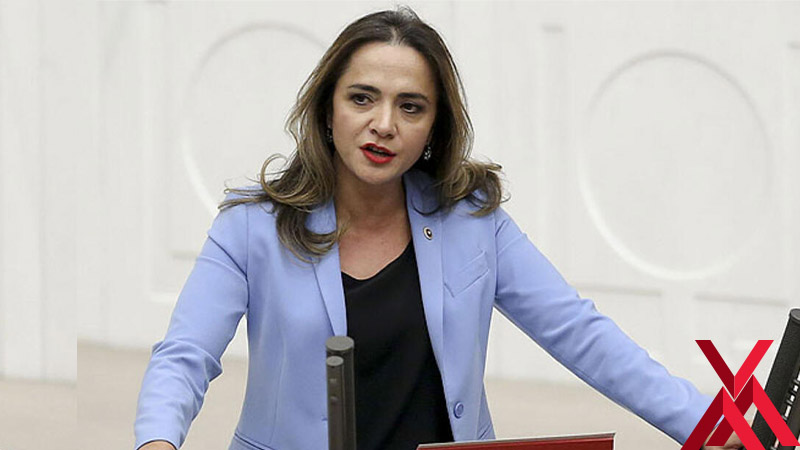 CHP'li Gamze Akkuş İlgezdi'den, 'Atatürk aleyhine işlenen suçlarda artış var' açıklaması