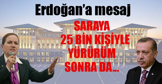 Meral Akşener'den Cumhurbaşkanı Erdoğan'a mesaj: Saraya 25 bin kişiyle yürürüm