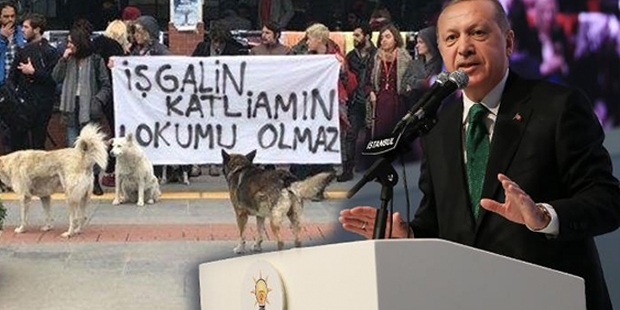 Erdoğan'dan Boğaziçi açıklaması: Bu işi bir daha Gezi olaylarıyla aynı yere getiremeyecekler