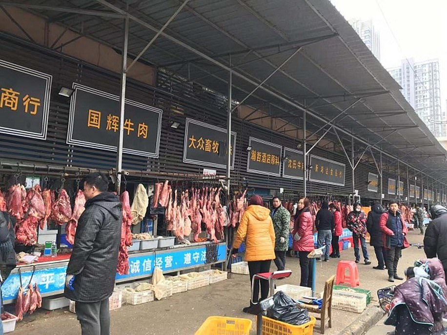 DSÖ açıkladı: Koronavirüs, Vuhan'daki gıda pazarından yayıldı mı?
