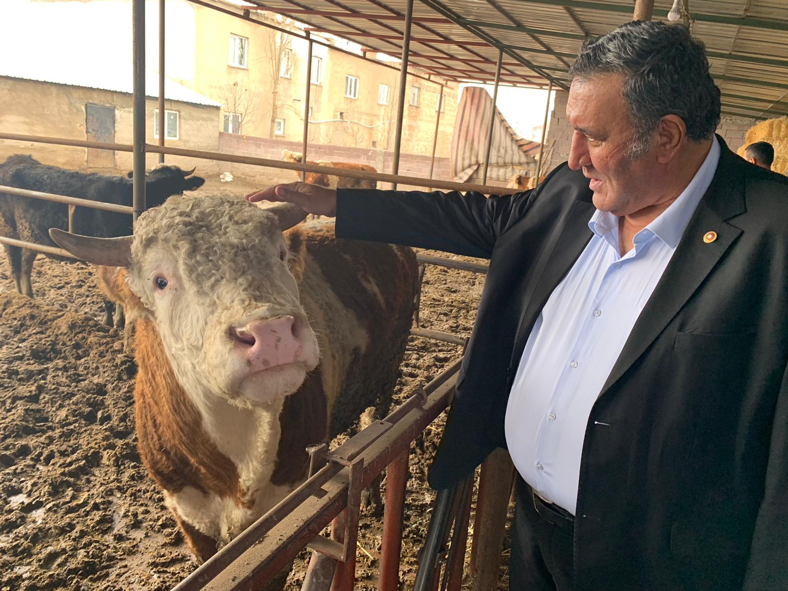 CHP'li Gürer üreticinin derdini yine Meclis'e taşıdı: “Yem fiyatlarındaki artış hayvancılığı tehdit ediyor”