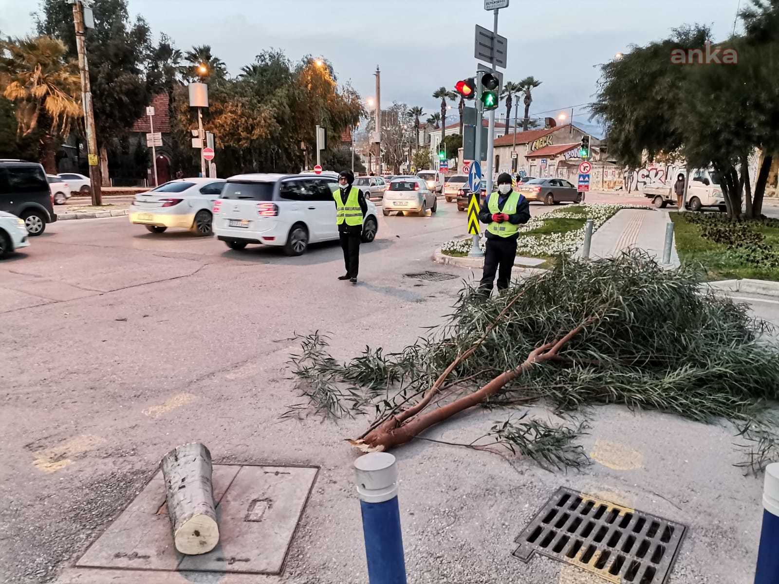 İzmir'deki fırtına ağaçları kökünden söktü