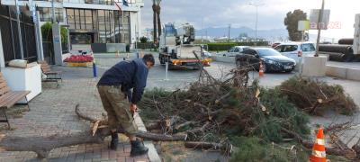 İzmir'i bu kez de fırtına vurdu: Çatılar uçtu, ağaçlar devrildi, iskeleler hasar gördü!